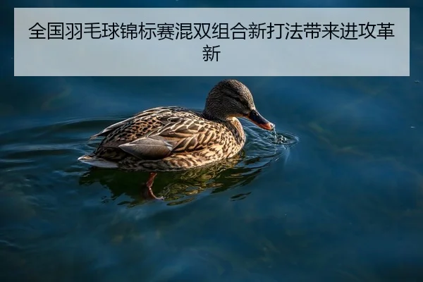 全国羽毛球锦标赛混双组合新打法带来进攻革新 - ManBetXSports